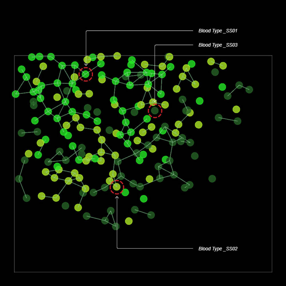 DL_BiologicalEvolution